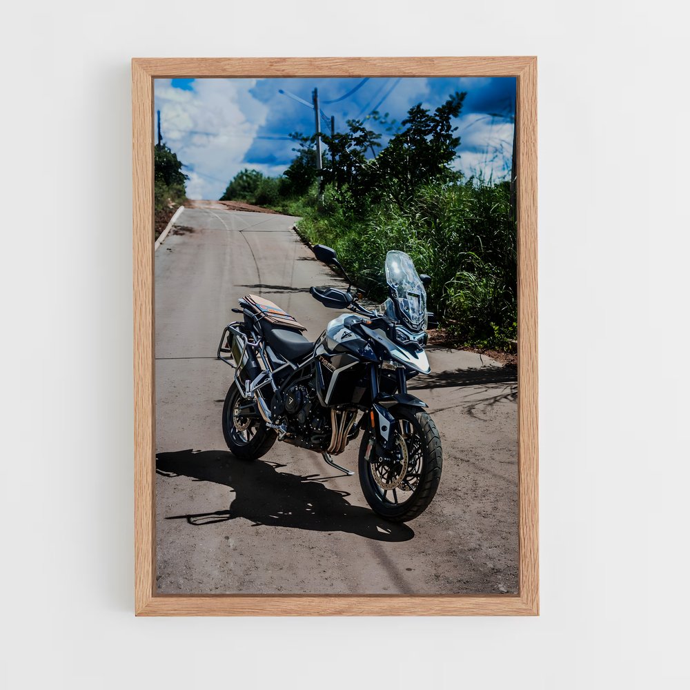 Poster Félidé Éblouissant 900 – affiche Triumph (vue 4)